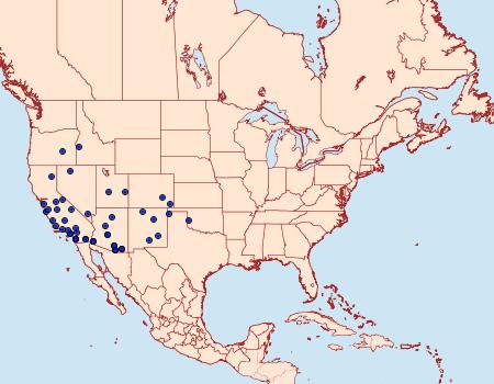 Distribution Data for Acrolophus variabilis