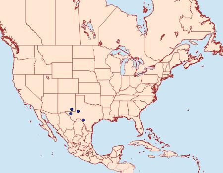 Distribution Data for Dorata atomophora