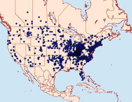 Distribution Data for Epargyreus clarus