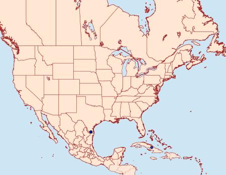 Distribution Data for Aguna claxon