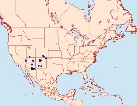 Distribution Data for Zestusa dorus