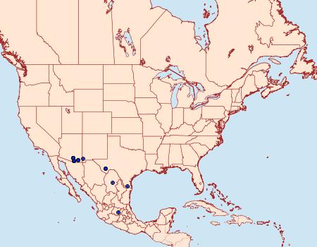 Distribution Data for Codatractus arizonensis