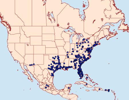 Distribution Data for Urbanus proteus