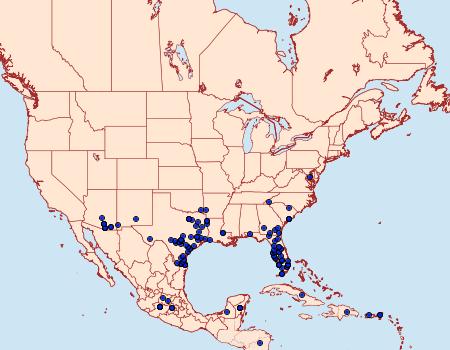 Distribution Data for Thorybes dorantes