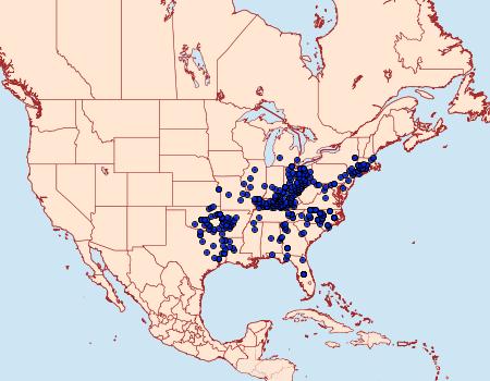 Distribution Data for Thorybes lyciades