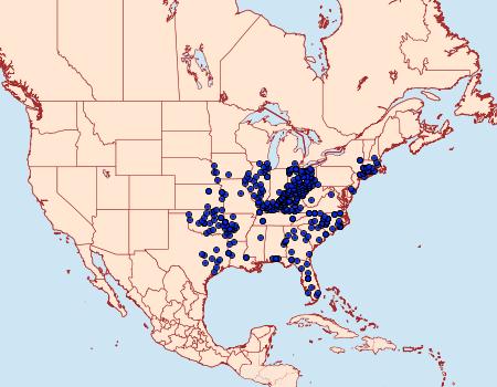 Distribution Data for Thorybes bathyllus