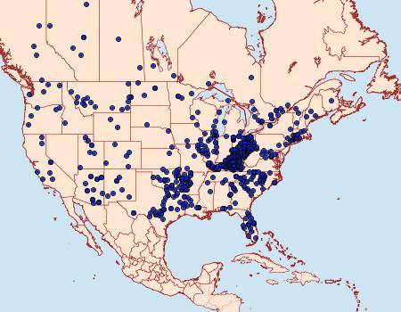 Distribution Data for Thorybes pylades