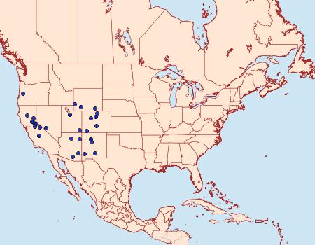 Distribution Data for Thorybes nevada