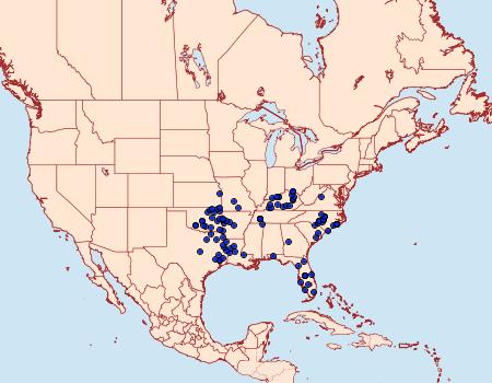 Distribution Data for Thorybes confusis