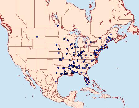 Distribution Data for Tinea apicimaculella