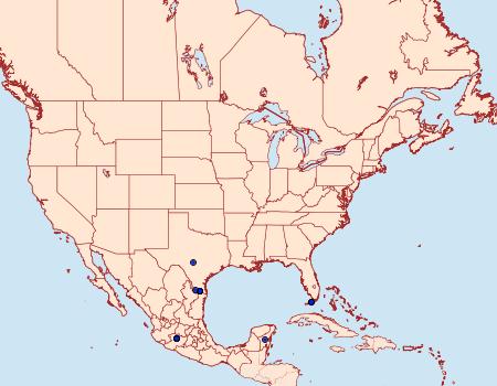 Distribution Data for Gorgythion begga