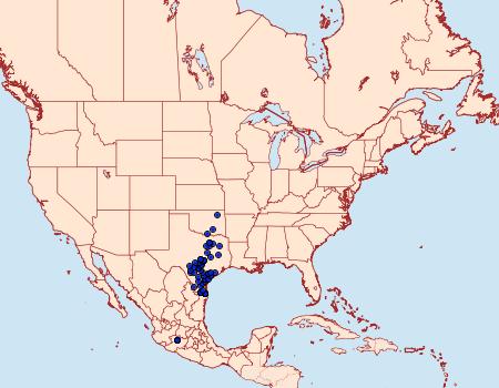 Distribution Data for Eantis tamenund