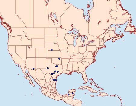 Distribution Data for Grais stigmaticus