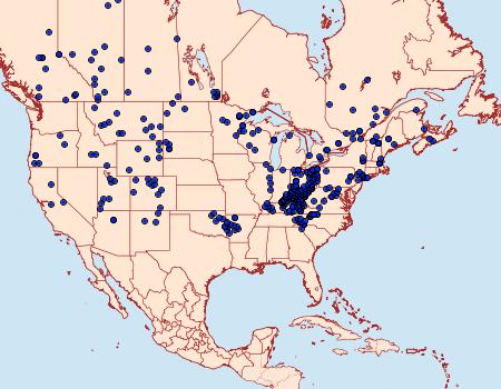 Distribution Data for Erynnis icelus