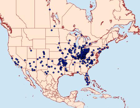 Distribution Data for Erynnis brizo