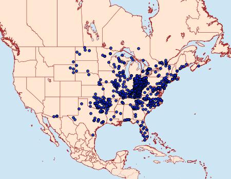 Distribution Data for Erynnis juvenalis