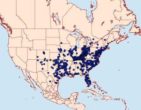 Distribution Data for Erynnis horatius