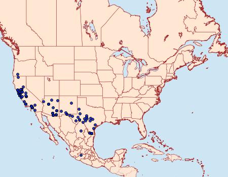 Distribution Data for Erynnis tristis