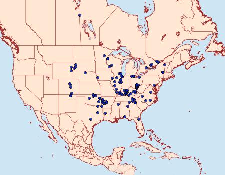 Distribution Data for Erynnis martialis