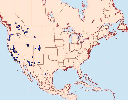 Distribution Data for Erynnis pacuvius