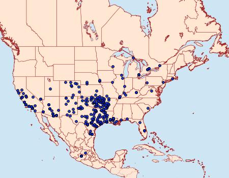 Distribution Data for Erynnis funeralis