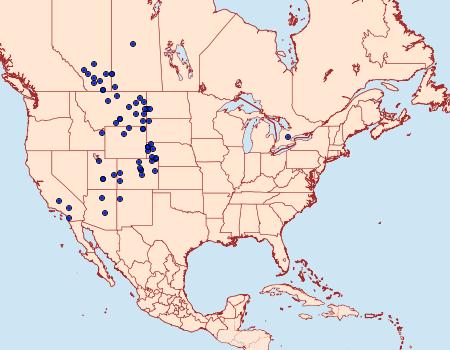 Distribution Data for Erynnis afranius