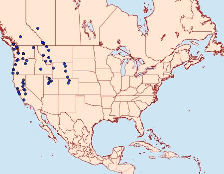 Distribution Data for Pyrgus ruralis