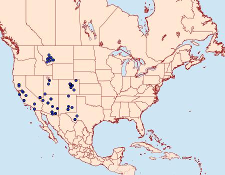 Distribution Data for Pyrgus scriptura