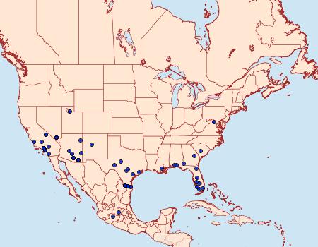 Distribution Data for Burnsius albezens