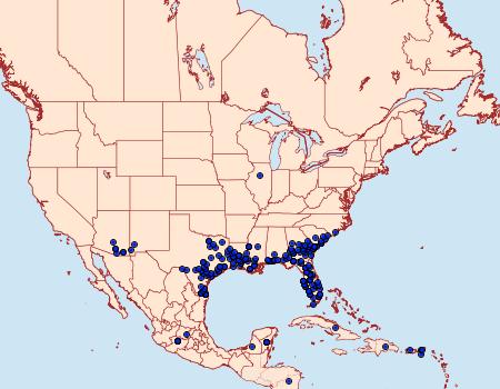 Distribution Data for Burnsius oileus