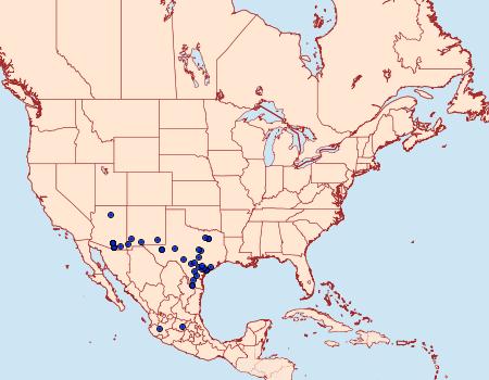 Distribution Data for Burnsius philetas