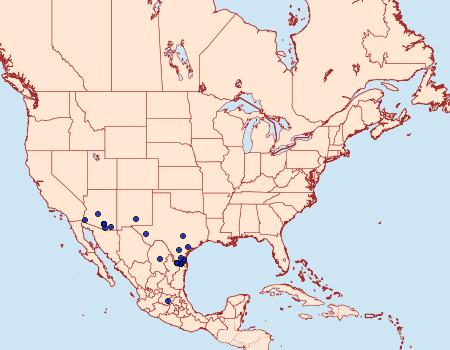 Distribution Data for Heliopetes domicella