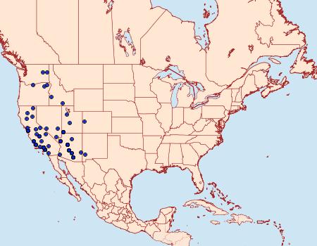 Distribution Data for Heliopetes ericetorum