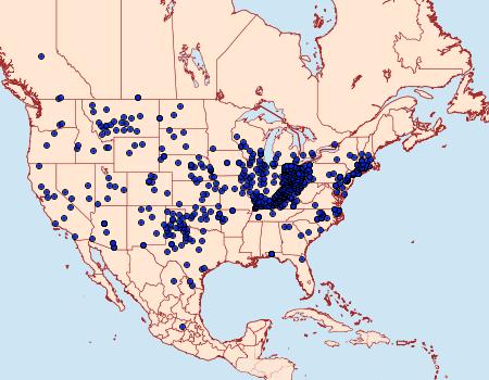 Distribution Data for Pholisora catullus