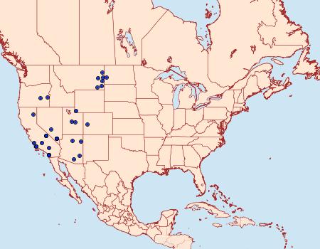 Distribution Data for Hesperopsis libya