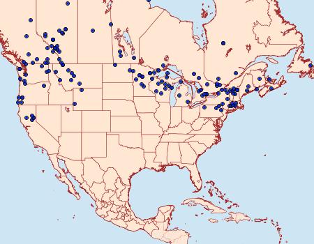 Distribution Data for Carterocephalus mandan