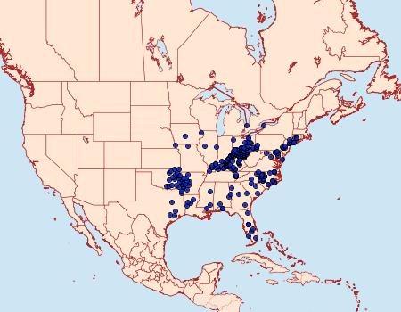 Distribution Data for Nastra lherminier