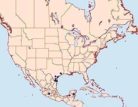 Distribution Data for Cymaenes isus