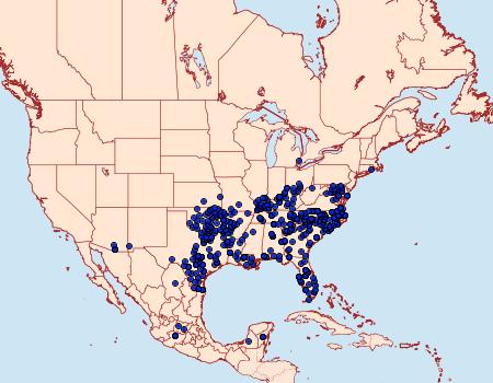 Distribution Data for Lerema accius