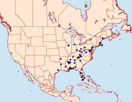 Distribution Data for Tinea mandarinella