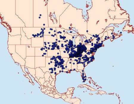 Distribution Data for Ancyloxypha numitor