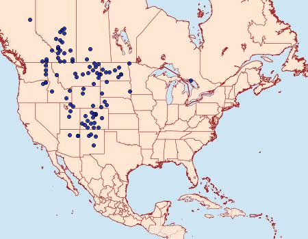 Distribution Data for Oarisma garita