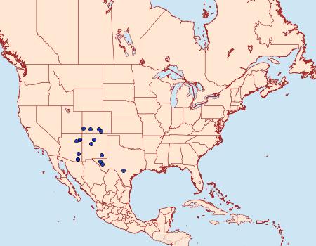 Distribution Data for Copaeodes edwardsii