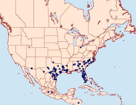 Distribution Data for Copaeodes minima