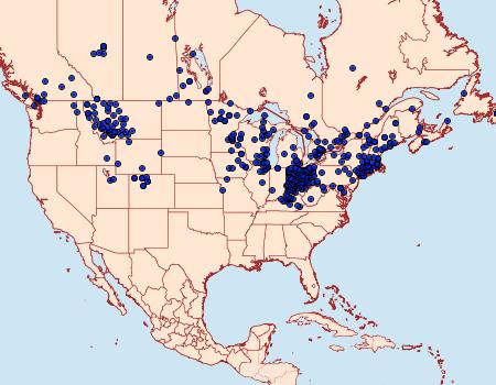 Distribution Data for Thymelicus lineola