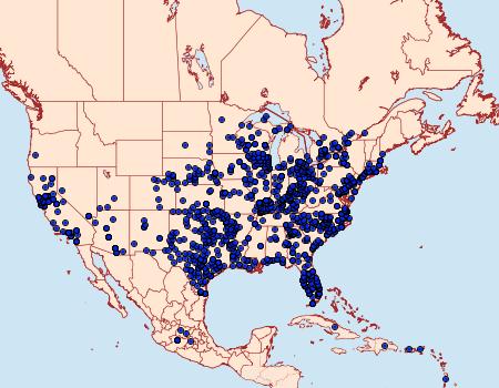 Distribution Data for Hylephila phyleus