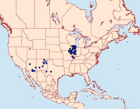 Distribution Data for Polites carus