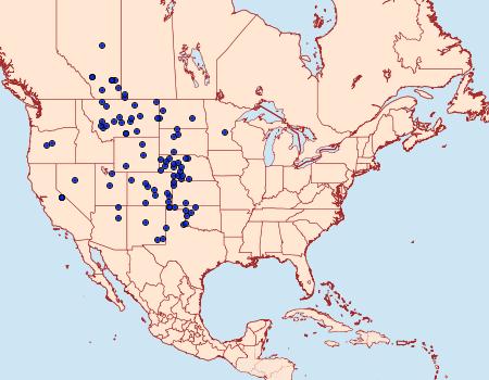 Distribution Data for Hesperia uncas