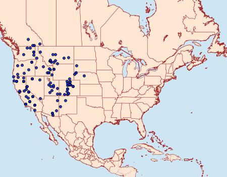 Distribution Data for Hesperia colorado