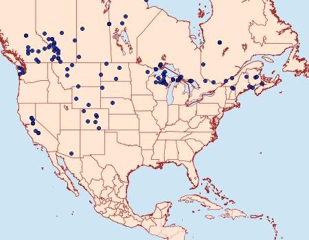 Distribution Data for Hesperia comma